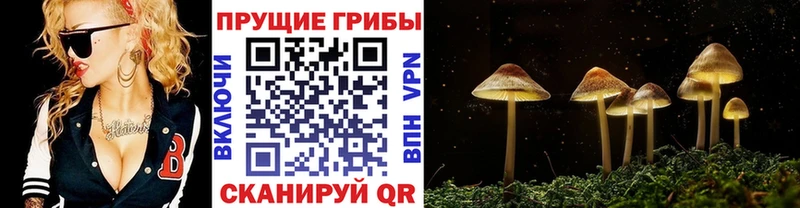 Галлюциногенные грибы MAGIC MUSHROOMS  Астрахань 